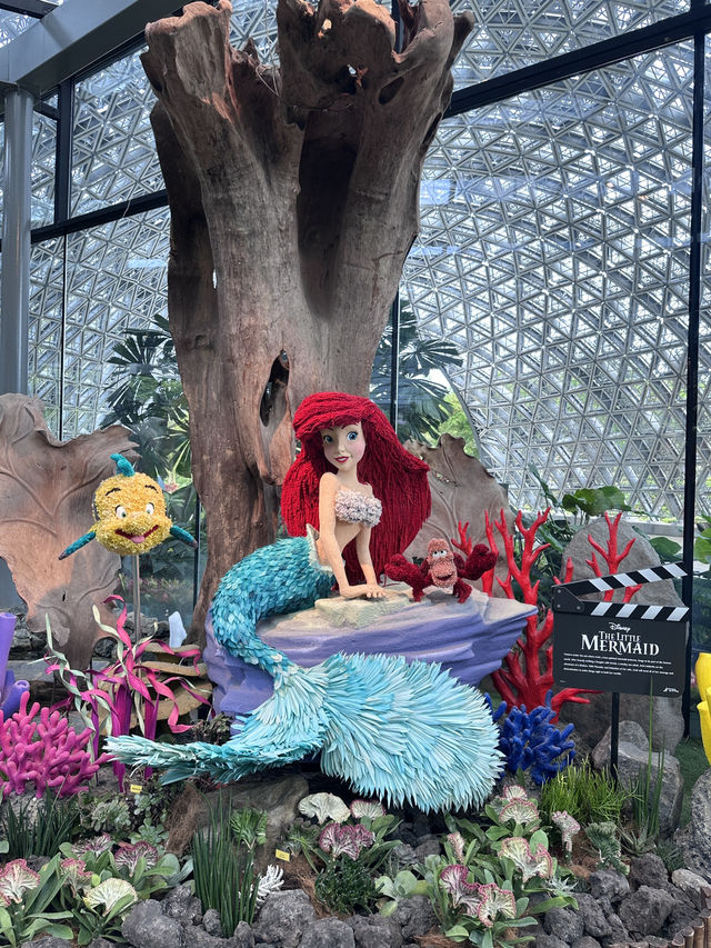 แหล่งท่องเที่ยวยอดฮิต Garden by the bay 🇸🇬