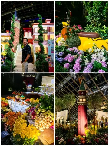 Lilytopia : The Italian Summer Vibes 