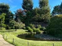 Spring Wanders in Koko-en Garden