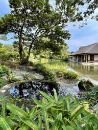 A Day of Quiet Beauty in Fukui