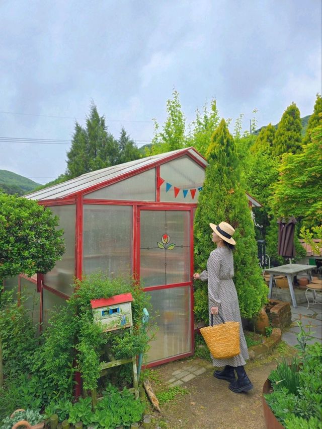 귀여운 대형 댕댕이가 있는 공주 정원카페💚