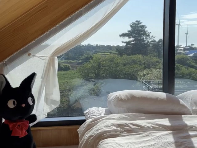 지브리 감성 가득한 제주 독채숙소 "스테이 오늘"🌼