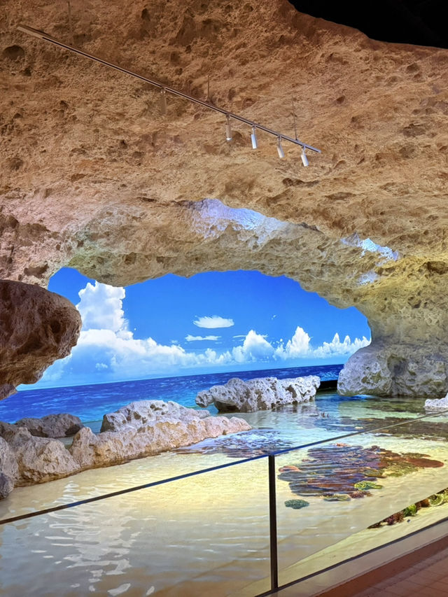 沖繩｜麻雀雖小、五藏俱全，DMM水族館主打互動體驗