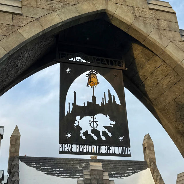 🎉 Beijing Universal Studios Birthday Guide! 🎢🎂
