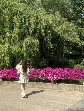 A Healing Educational Space in Harmony with Nature: Chungbuk Forest Environment Research Institute (Midongsan Arboretum)