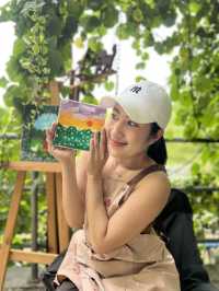 คาเฟ่ The Ozone Bangkrajao