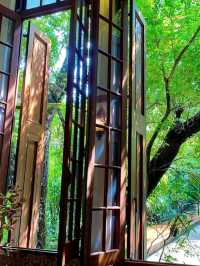 🌿✨ Bangkok’s Hidden Gem: Ariyasomvilla – A Thai Heritage Retreat! ✨🌿