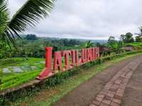 Jatiluwih Rice Terraces เที่ยวบาหลี อินโดนีเซีย