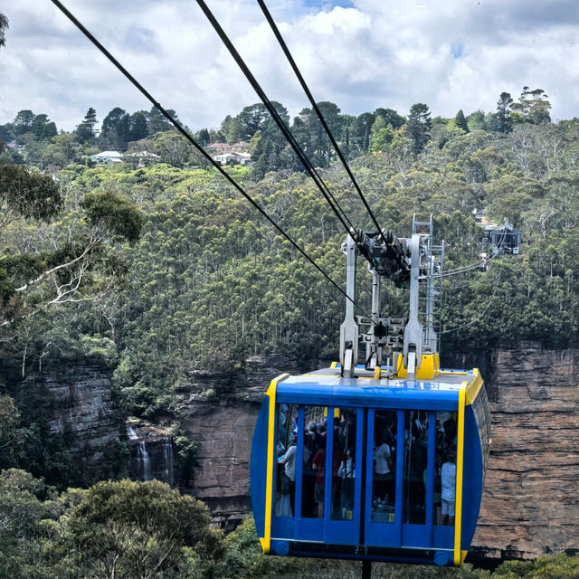 Sydney | Blue Mountains Day Trip 🏞️🚞