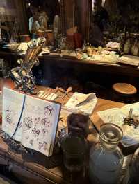 An Honest Review for DisneySea.