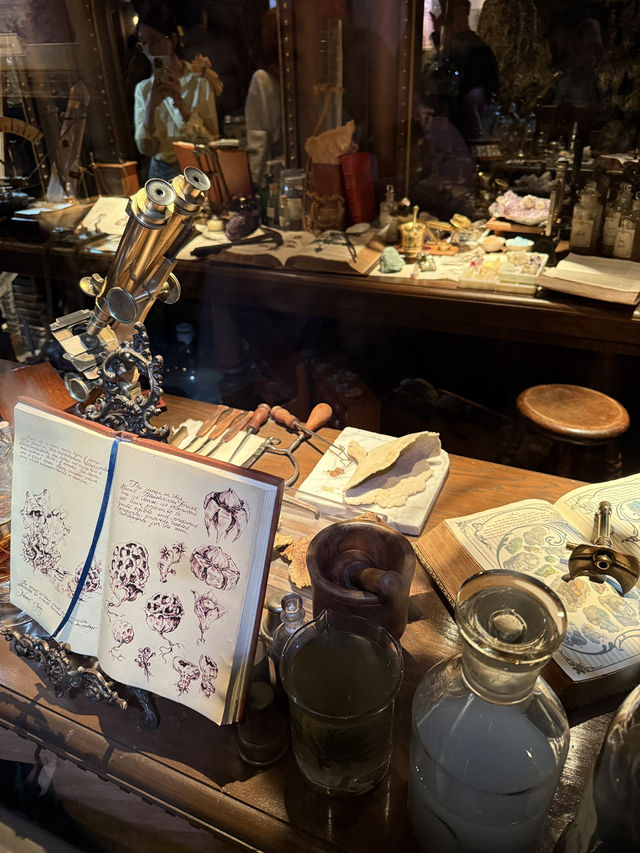 An Honest Review for DisneySea.