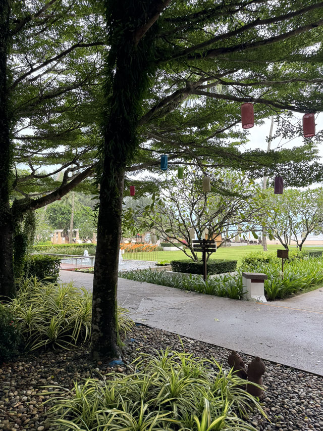 แนะนำโรงแรมในเขาหลัก ✨Apsara Beachfront Resort