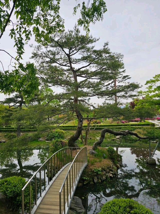 A Chill Day at Ojukheon