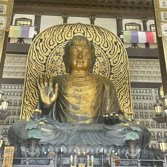 圧巻の迫力‼️日本最大級の大仏