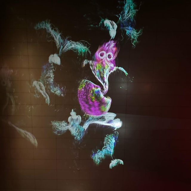✨ “Shadows Painted in Light: An Evening at Lilu Light Festival”