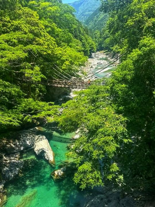 Oboke & Koboke: Japan’s Untamed Natural Wonder