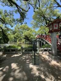 【福岡】⛩️太宰府天満宮 攻略ガイド
