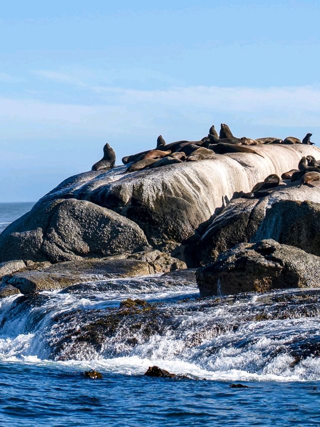 Cape town เมืองเดียว ที่เที่ยวเพียบ