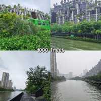 Shanghai เที่ยวไหนดี