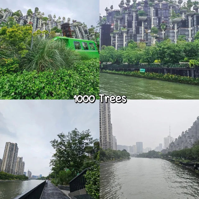 Shanghai เที่ยวไหนดี
