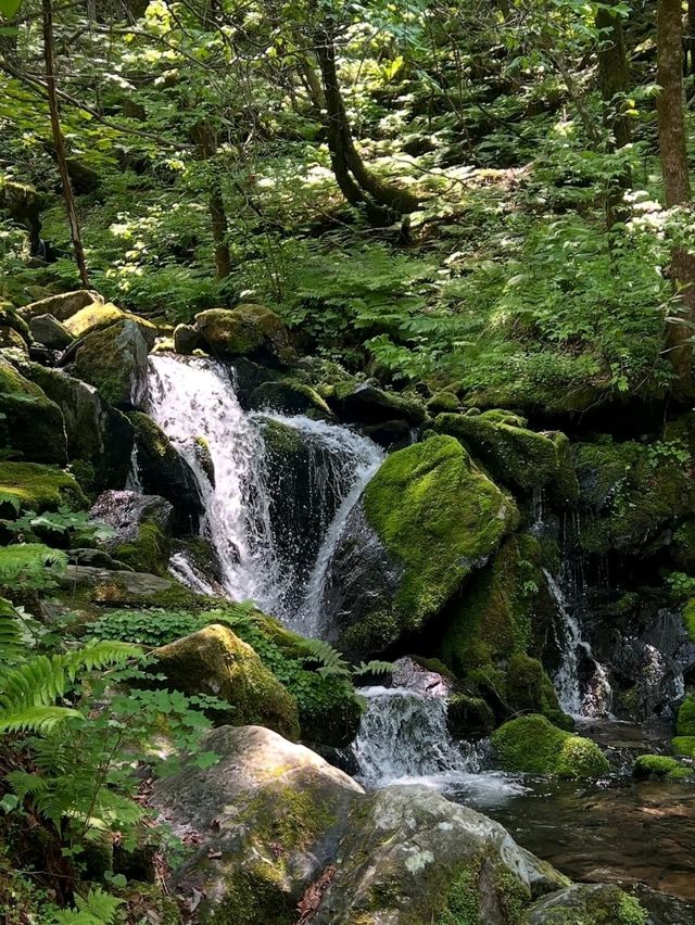 Nature’s Way of Roasting Your Legs