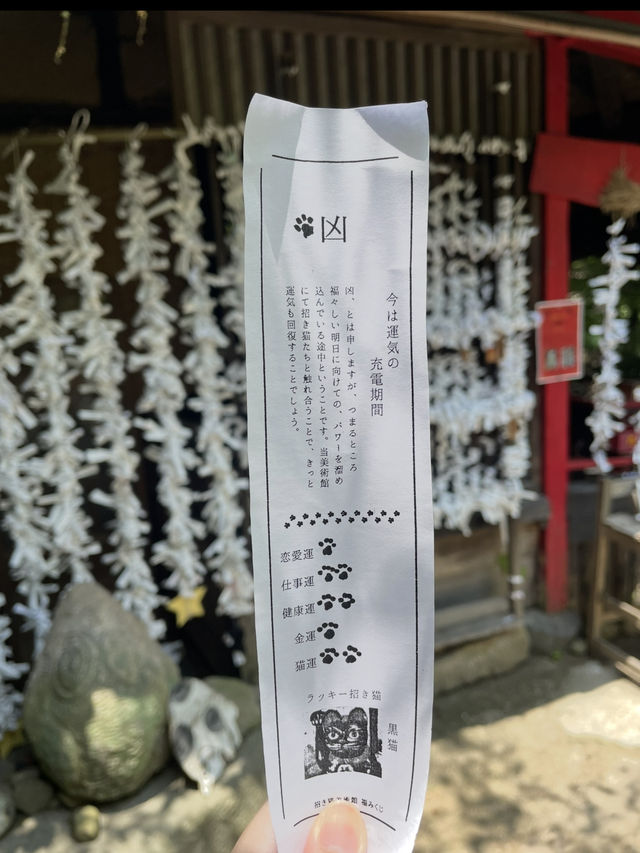 轉角遇到貓-在尾道貓咪小徑與貓貓不期而遇