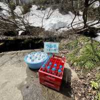 ♨️【秋田・黒湯温泉】秘湯の名湯で心も体も癒される自然の温泉旅