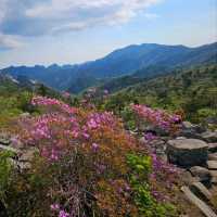 Gwittaegicheongbong at Seoraksan Was Wild