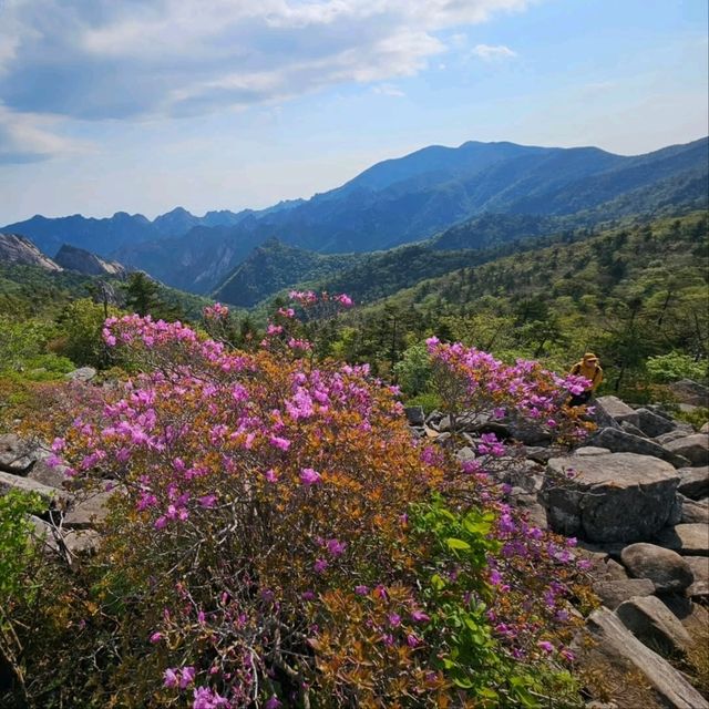 Gwittaegicheongbong at Seoraksan Was Wild