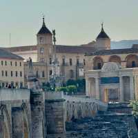 Drawn by a Bridge: Unveiling Cordoba's Moorish Legacy! 🌉🇪🇸