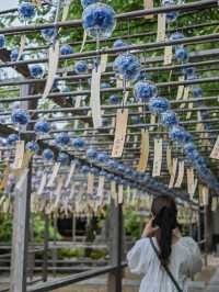 【京都/宇治】風鈴飾りが話題のお寺、正寿院🎐 