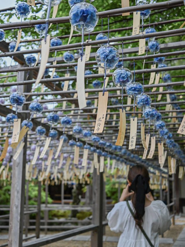 【京都/宇治】風鈴飾りが話題のお寺、正寿院🎐 