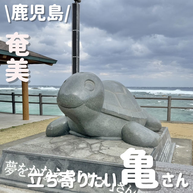 立ち寄りたい可愛い🐢スポット