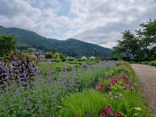 2-Day Fujikawaguchiko Tour: Explore Fuji-Q Highland and the Scenic Four Lakes