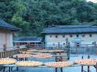世界文化遺產 -客家土樓 上世紀曾被誤會 中國空軍基地 