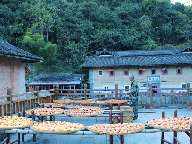 世界文化遺產 -客家土樓 上世紀曾被誤會 中國空軍基地 