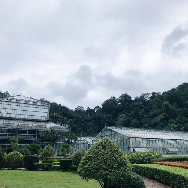 สวนพฤกษศาสตร์ เชียงใหม่🌵✨🍃