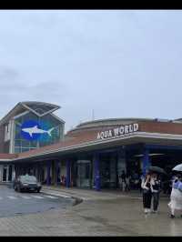 🐬【茨城・大洗 アクアワールド茨城県大洗水族館】海と“新世”の感動を1日中楽しめる！✨