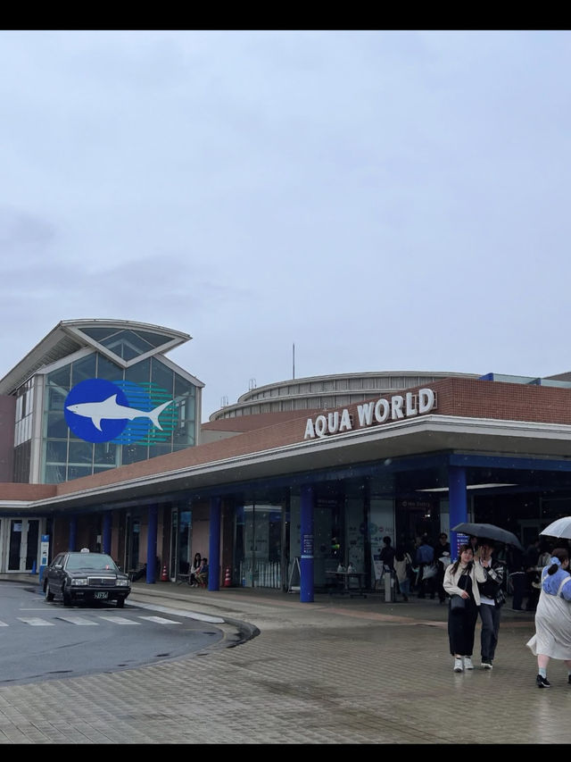 🐬【茨城・大洗 アクアワールド茨城県大洗水族館】海と“新世”の感動を1日中楽しめる！✨