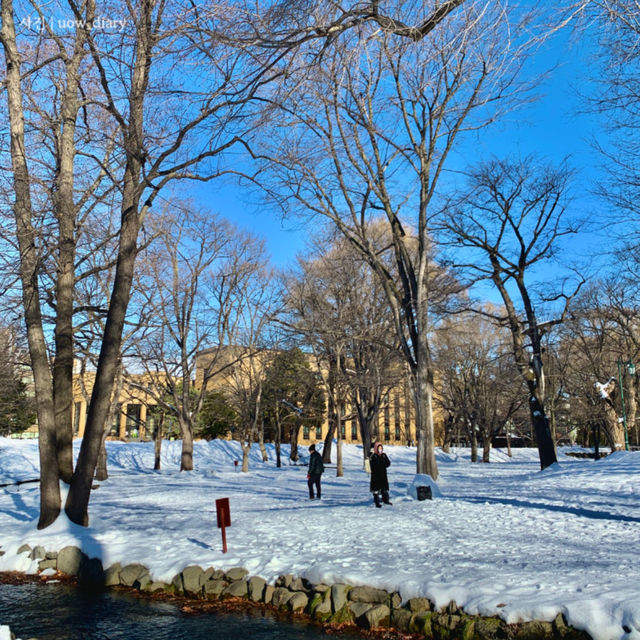 설국 삿포로, 잊지 못할 겨울왕국 여행 계획 & 가이드 ❄️☃️