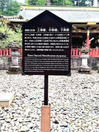 Unravelling the sacred animals inside the Toshogu Shrine