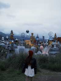 Lost in the Wilderness Kingdom!