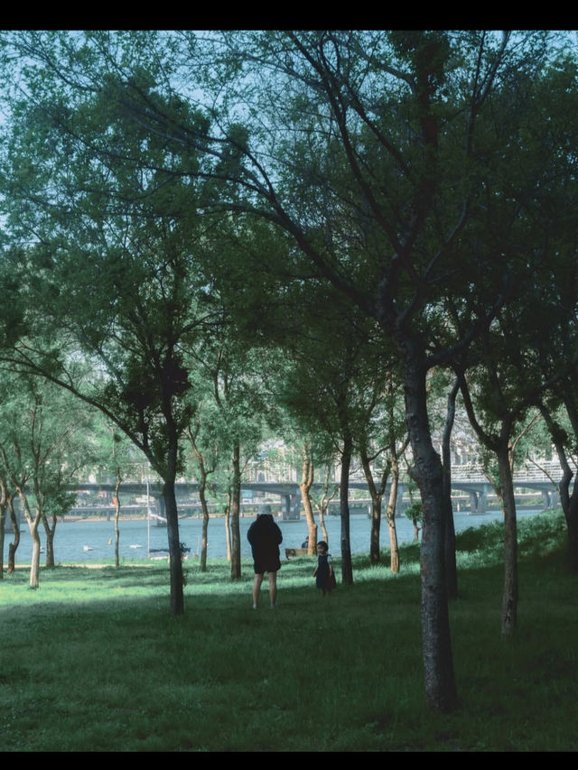 🏞️【漢江公園（Hangang Park）】ソウルの風を感じる川辺のオアシス