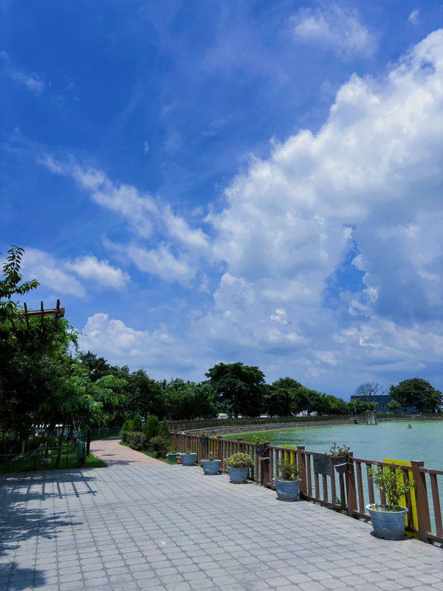 🌿 桃園八德｜高城埤塘生態公園：水鳥會跑來打招呼的靜謐小天地 🐦✨