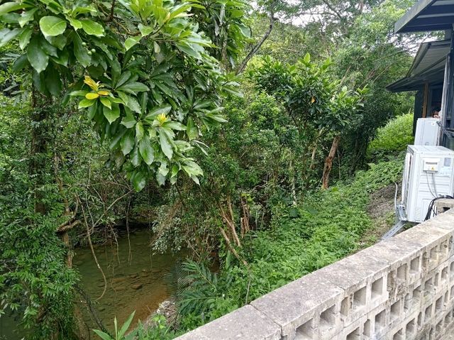 三峽景觀咖啡廳-必點焦糖布丁-無聊秘境