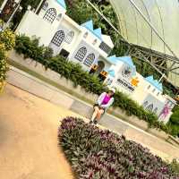 Colorful Green View Garden in Cameron Highlands