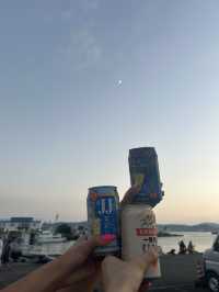 【知られざる花火大会】奄美大島で感動した夏の夜🌺