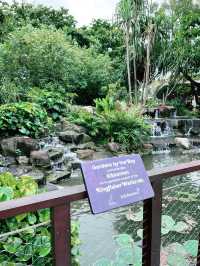 Discover Tranquility at Kingfisher’s Wetland Wildlife Lookout in Singapore