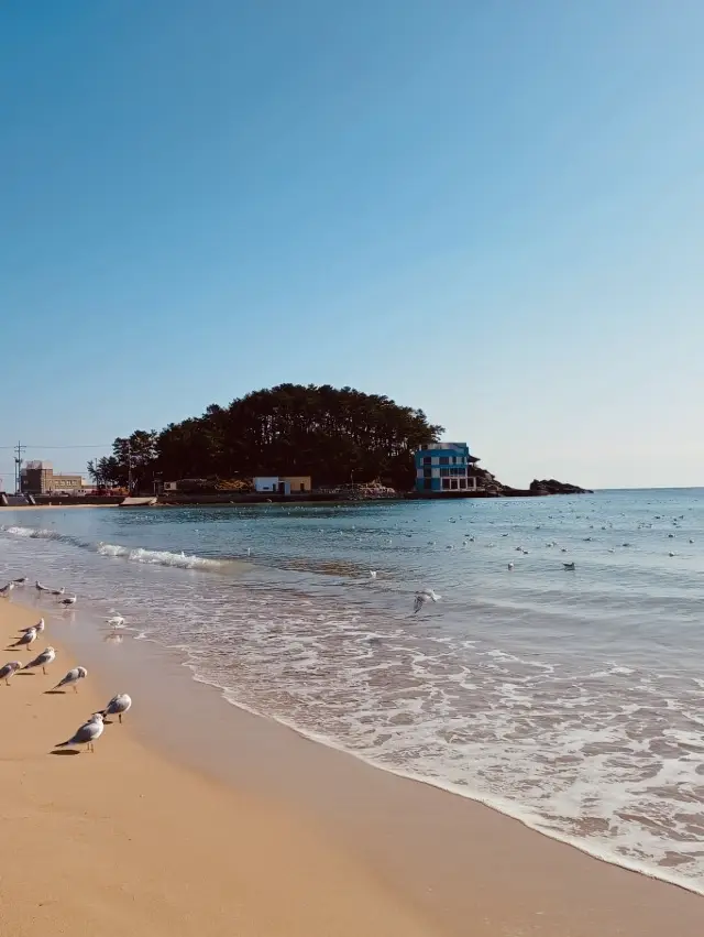 釜山・松亭ビーチ:サーファーと家族に最適なリラックススポット