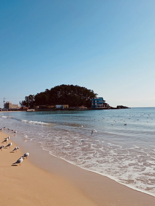 Songjeong Beach, Busan: A Laid-Back Haven for Surfers and Families